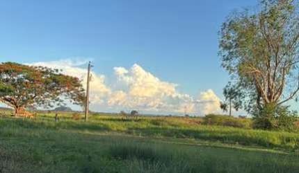 FAZENDA EXCELENTE EM FIGUEIRÃO/MS - ÓTIMA OPORTUNIDADE DE INVESTIMENTO!