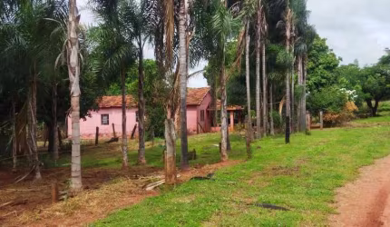 SÍTIO COM ÓTIMA LOCALIZAÇÃO EM FRUTAL/MG