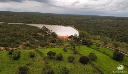 FAZENDA INCRÍVEL COM ÓTIMA INFRAESTRUTURA - EXCELENTE OPORTUNIDADE DE NEGÓCIO!