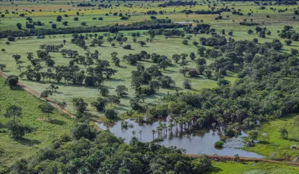 FAZENDA EXCELENTE COM ÓTIMA INFRAESTRUTURA EM RIBAS DO RIO PARDO/MS