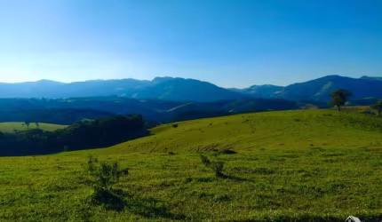 FAZENDA INCRÍVEL EM OURO FINO/ MG - EXCELENTE OPORTUNIDADE DE INVESTIMENTO!