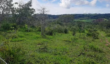 FAZENDA EXCELENTE EM FORMIGA/MG