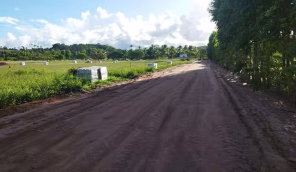 Lote à venda em rua pública, PONTA DO MANGUE, Maragogi, AL
