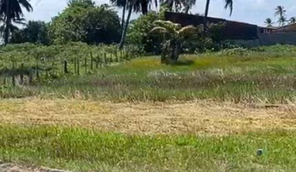 Lote à venda em rua pública, CAUEIRA, Itaporanga d'Ajuda, SE