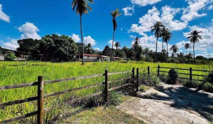 Lote à venda em rua pública, CENTRO, Itaporanga d'Ajuda, SE