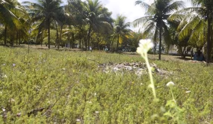 Lote à venda em rua pública, ZONA DE EXPANSÃO (ARUANDA), Aracaju, SE
