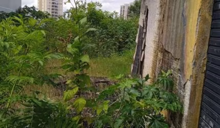 ÓTIMO TERRENO, 250M² - JARDIM ROSA DE FRANCA.