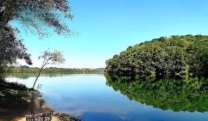 Uma belíssima chácara, área verde Campo Largo
