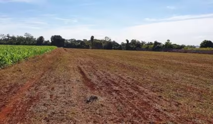 Sítio à venda, Gleba Fazenda Palhano, Londrina, PR
