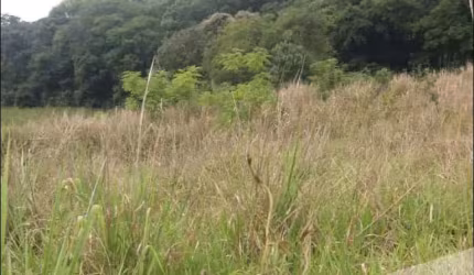 Sítio à venda, Água dos Cágados, Tamarana, PR