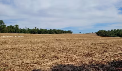 Sítio à venda, Água do Abóbora, Ibiporã, PR