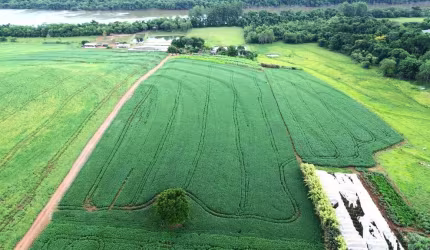 Chácara à venda, lidianópolis, Lidianópolis, PR