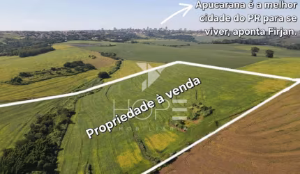 Sítio à Venda  77,44 Hectares de Oportunidade na Estância Pinheiro Alto