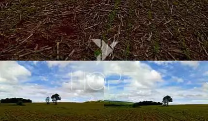 fazenda em primeiro de maio