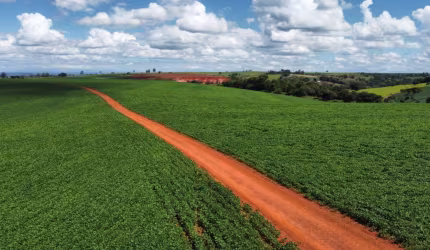 Maravilhosa Fazenda de 126 alqueires Regiao de Tatui SP