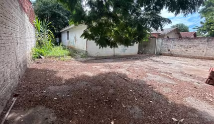 PARQUE HORTENCIA