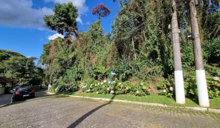 Terreno em condomínio fechado à venda na Rua Carlos Guinle, 658, Carlos Guinle, Teresópolis, 650 m2 por R$ 390.000