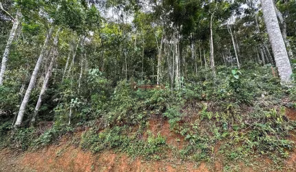 Terreno em condomínio fechado à venda na Estrada Adelmar Tavares, 800, Parque do Imbui, Teresópolis, 1700 m2 por R$ 260.000