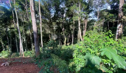 Terreno à venda na Rodovia Santos Dumont, 7000, Prata, Teresópolis, 910 m2 por R$ 150.000