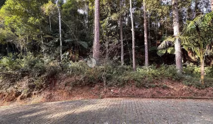 Terreno em condomínio fechado à venda na Estrada Parque do Imbui, 100, Parque do Imbui, Teresópolis, 1368 m2 por R$ 350.000