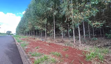 Oportunidade no Jardim Guapore, Maringá - PR