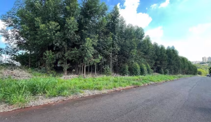Oportunidade no Jardim Guapore, Maringá - PR
