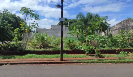 Terreno à Venda  Jardim Higienópolis