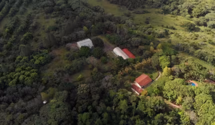 VENDA: FAZENDA - MOREIRA SALES