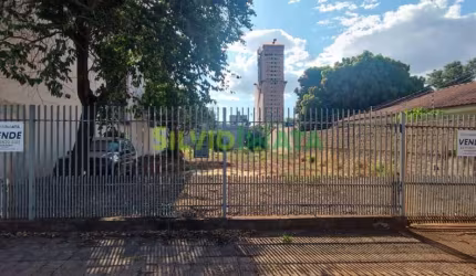 Terreno amplo à venda  em ótima localização na Zona 07!