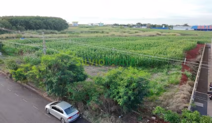 Excelente Oportunidade de Investimento ao Lado do Aeroporto de Maringá!