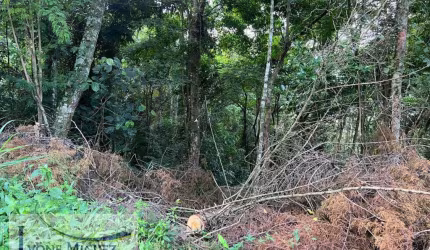 Terreno em Retiro das Palmeiras  -  Miguel Pereira