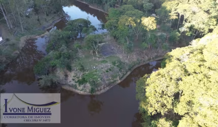 Ilha em Lagoa das Lontras  -  Miguel Pereira