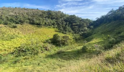 Agrícola em Coqueiros  -  Paty do Alferes