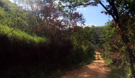 Sítio em Três Porteiras  -  Paty do Alferes