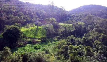 Fazenda em Sacra Família do Tinguá - Engenheiro Paulo de Frontin, RJ