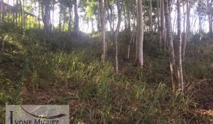 Terreno em Recanto Dos Eucaliptos  -  Paty do Alferes