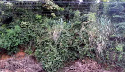Terreno em Parque Barcellos  -  Paty do Alferes