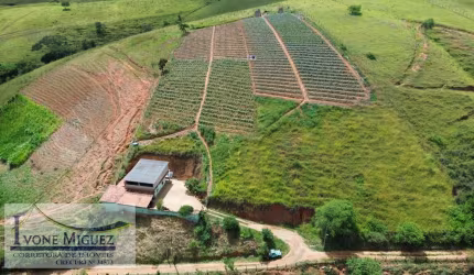 em Três Porteiras  -  Paty do Alferes