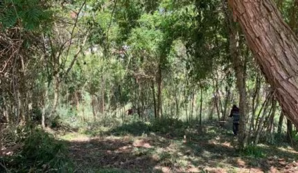 Terreno em Centro - Paty do Alferes, RJ
