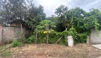 Excelente terreno plano, no centro de Filgueiras