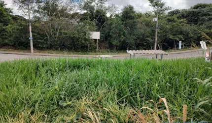 TERRENO - ALTOS DA VILA PAIVA - SP