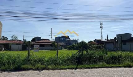 TERRENO NO ROSA