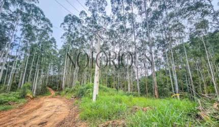 Terreno para Venda em Doutor Ulysses / PR no bairro Centro