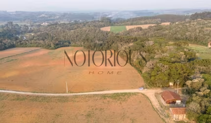 Terreno para Venda em São José dos Pinhais / PR no bairro Colônia Mergulhão