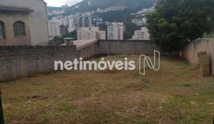 Venda Lote-Área-Terreno Palmeiras Belo Horizonte