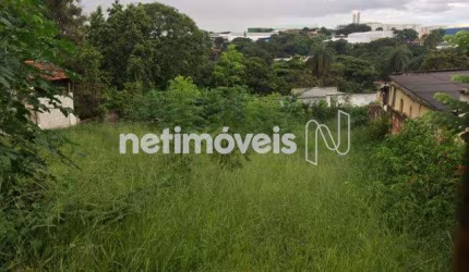 Venda Lote-Área-Terreno Chácaras Reunidas Santa Terezinha Contagem