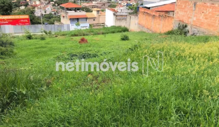 Venda Lote-Área-Terreno Juliana Belo Horizonte