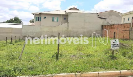 Venda Lote-Área-Terreno Trevo Belo Horizonte