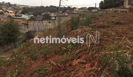 Venda Lote-Área-Terreno Santa Mônica Belo Horizonte