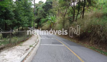 Venda Lote-Área-Terreno Coração de Jesus Belo Horizonte